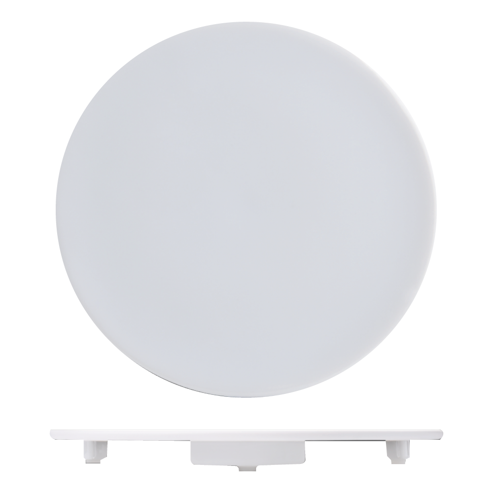 RUYI SHOW PLATE 26.5CM - FULL IRON OXIDE