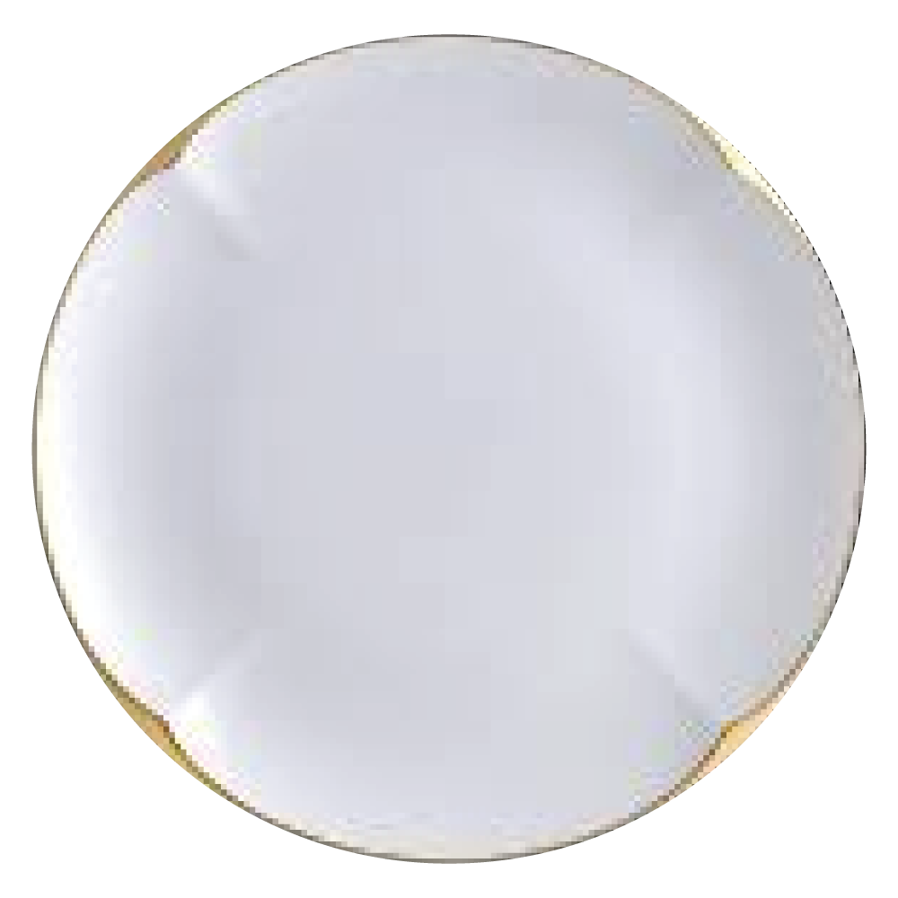 BJ-368 PLATE 21CM WITH ON GLAZE HAND GILDING BRIGHTGOLD ON RIM